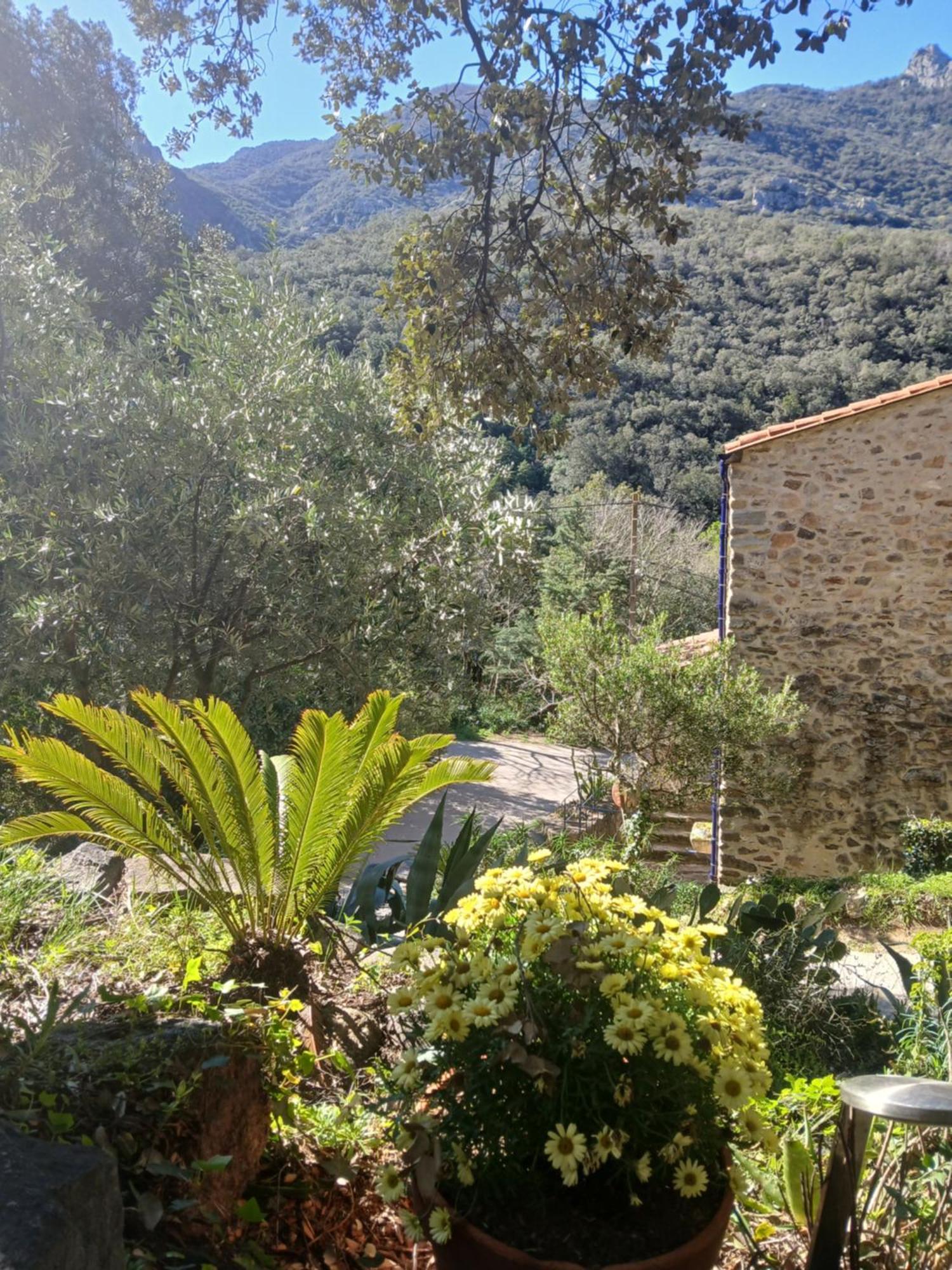 La Bergerie Villa Sorède Eksteriør bilde
